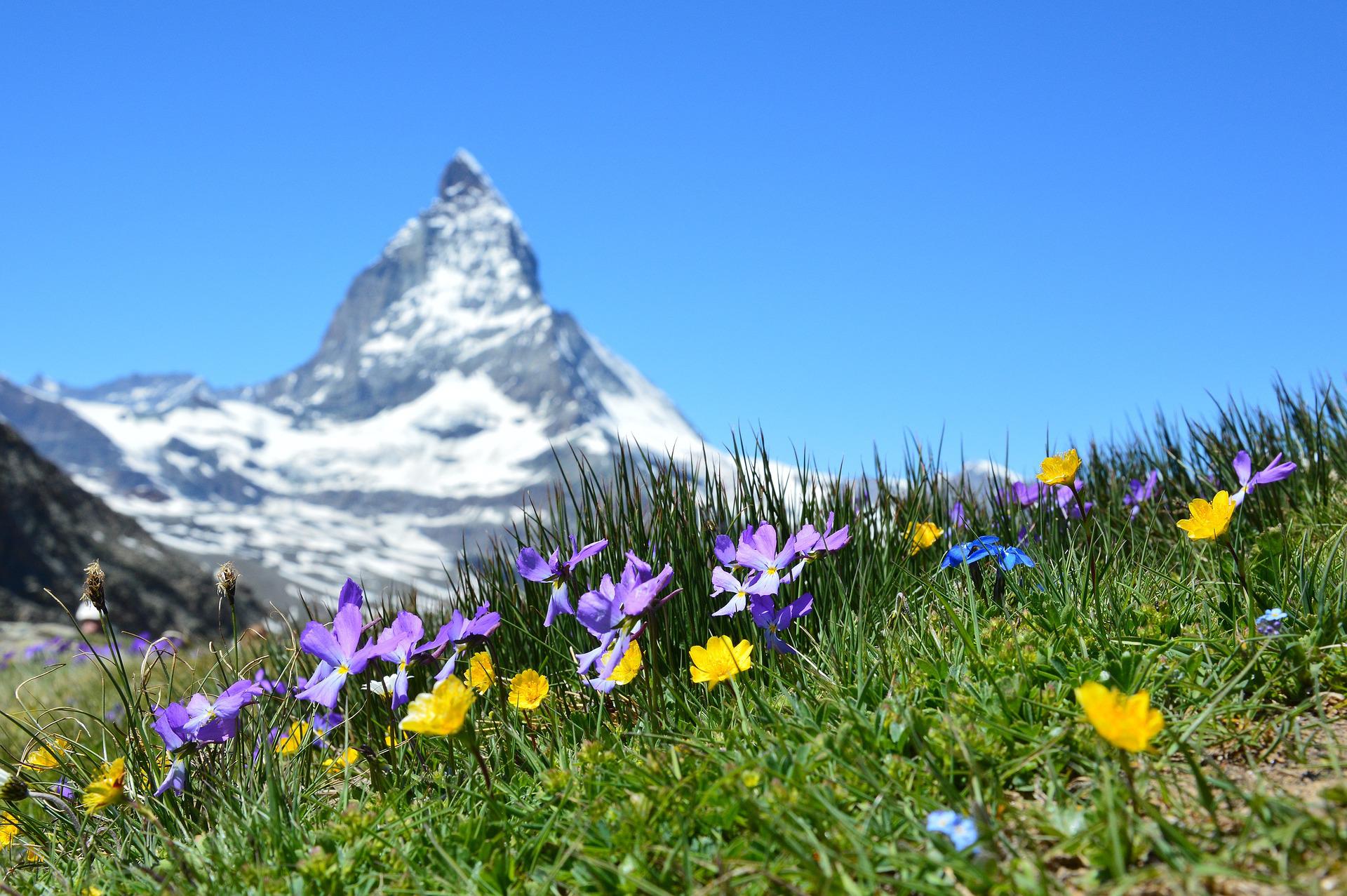 Matterhorn in Zermatt, Switzerland during spring.