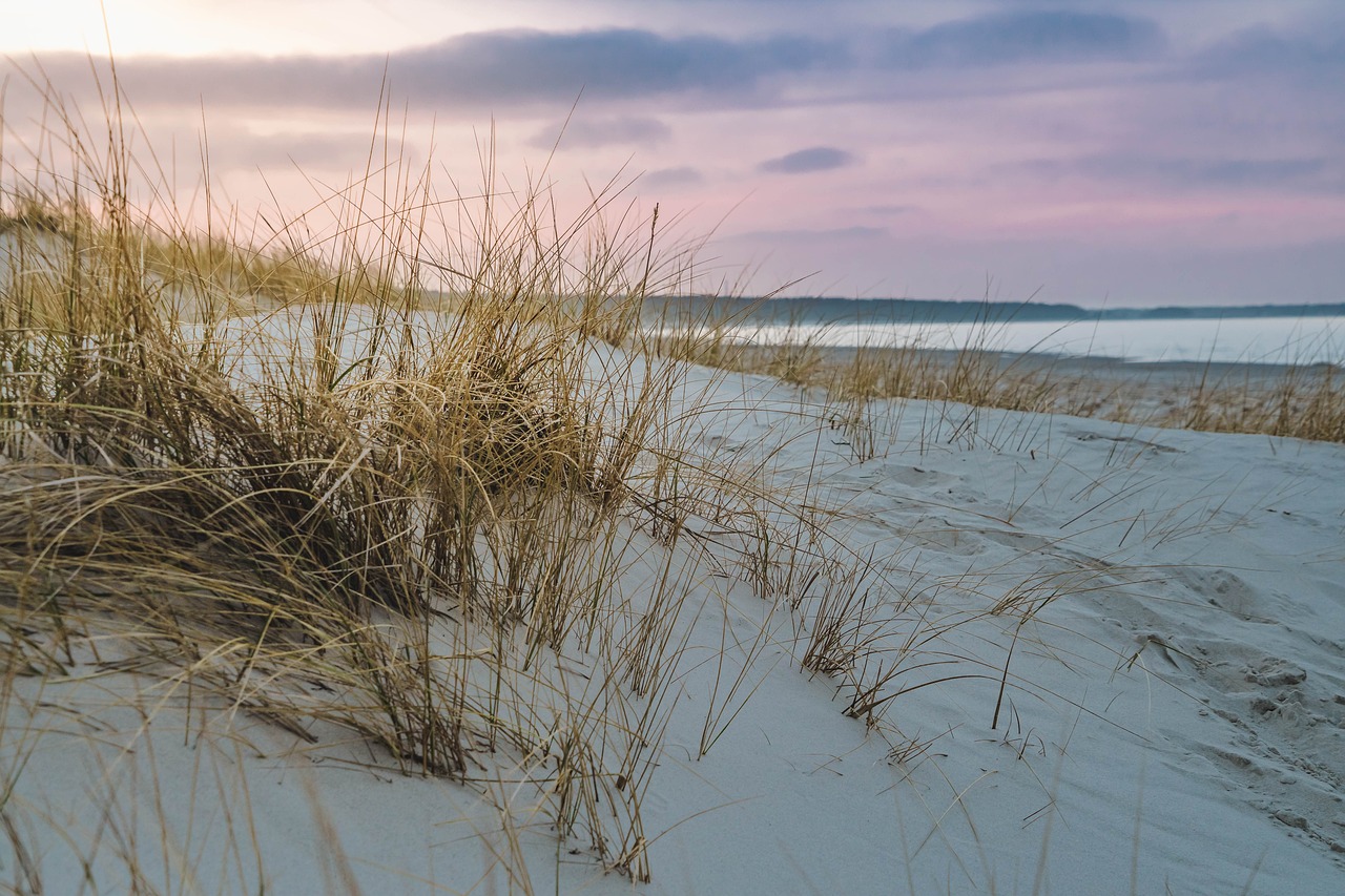 Germany Baltic Sea gras