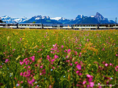 Switzerland GoldenPass Panoramic in Schönried, Bernese Oberland