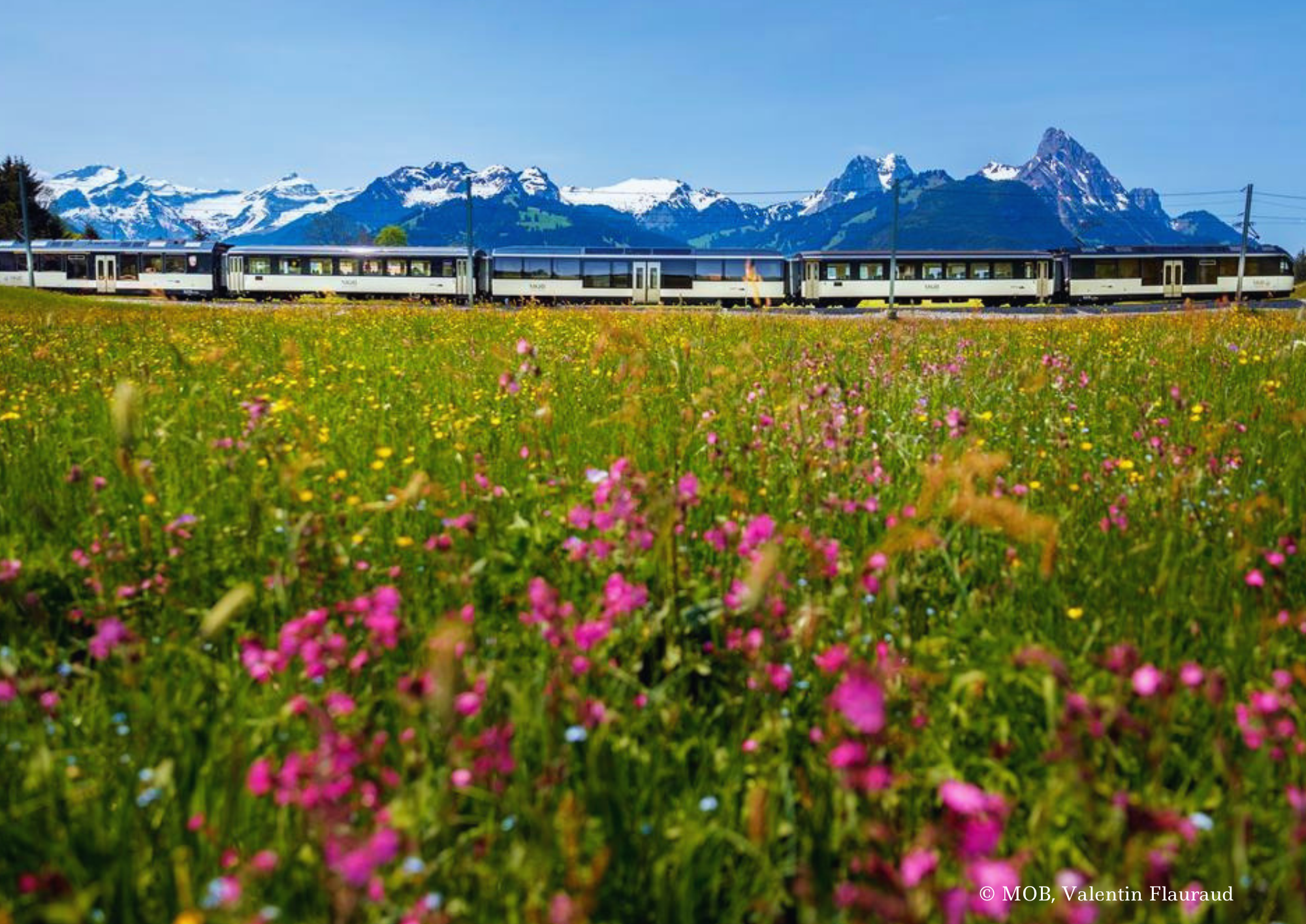 Switzerland GoldenPass Panoramic in Schönried, Bernese Oberland