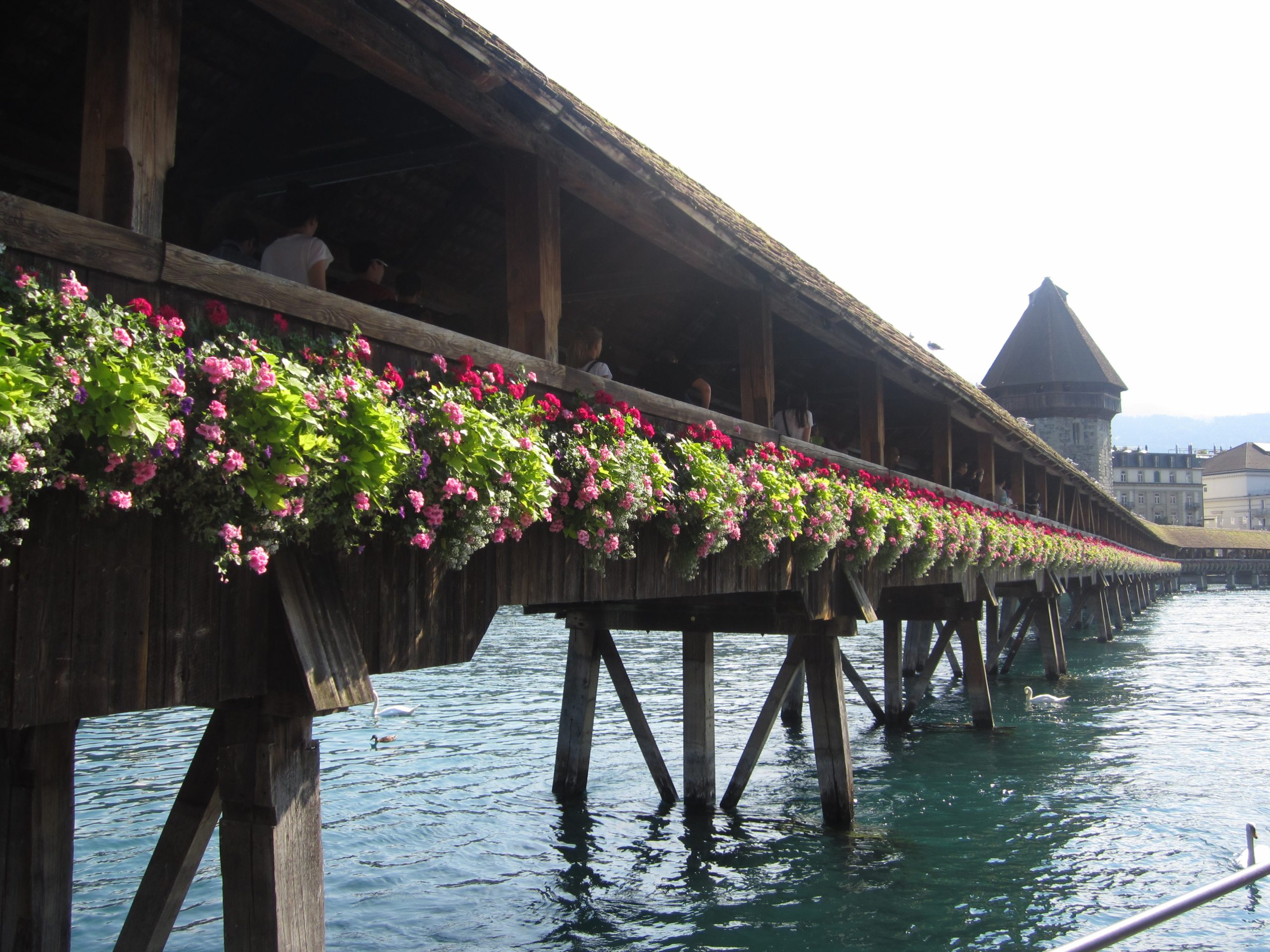 Schweiz Luzern Kapellbruecke