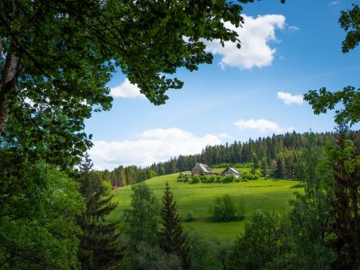 Black Forest in Germany