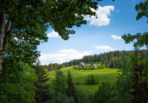Black Forest in Germany