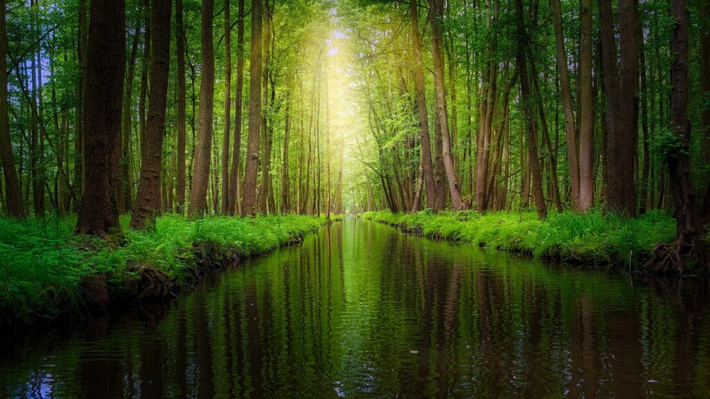 The UNESCO biosphere reserve Spreewald in Germany