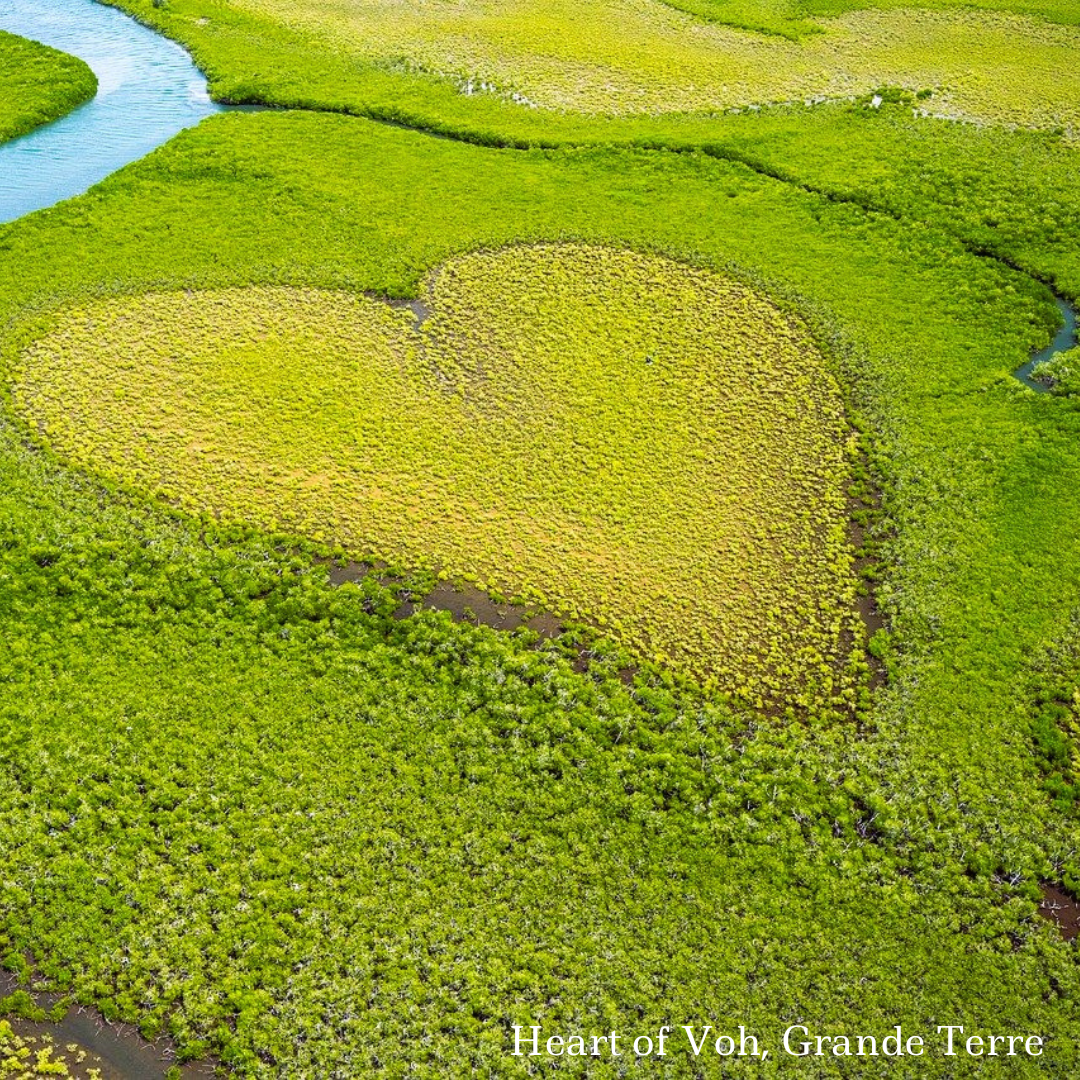 New Caledonia Heart of Voh