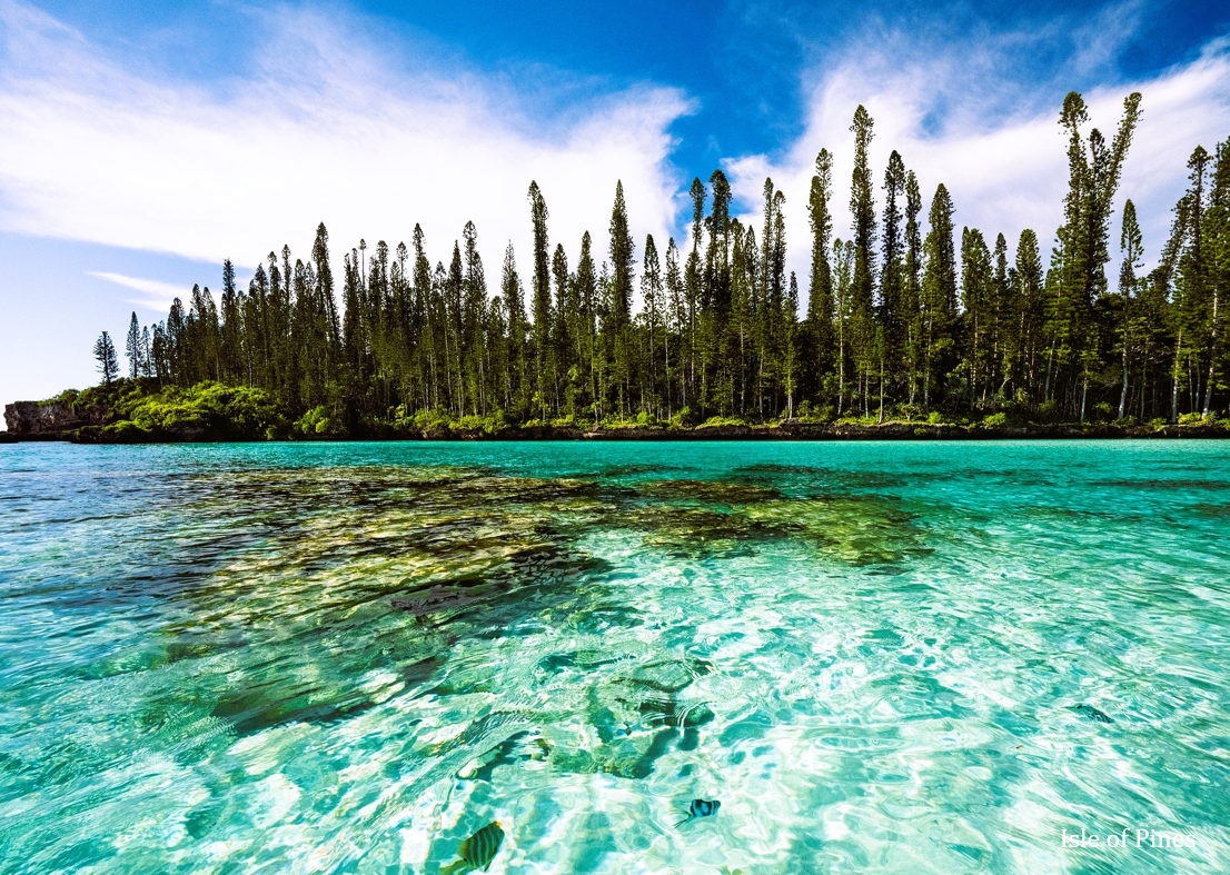 New Caledonia Isle of Pines