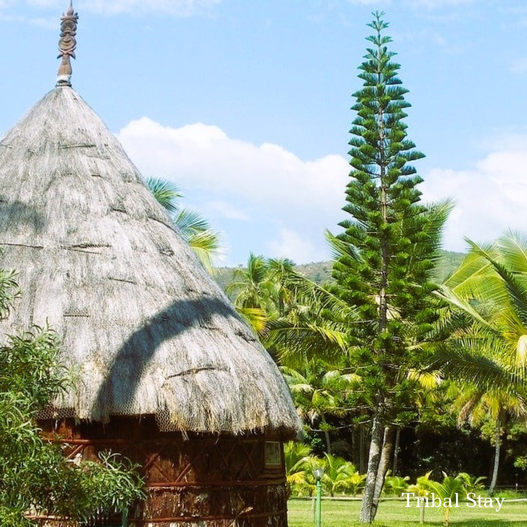 Tribal Stay New Caledonia