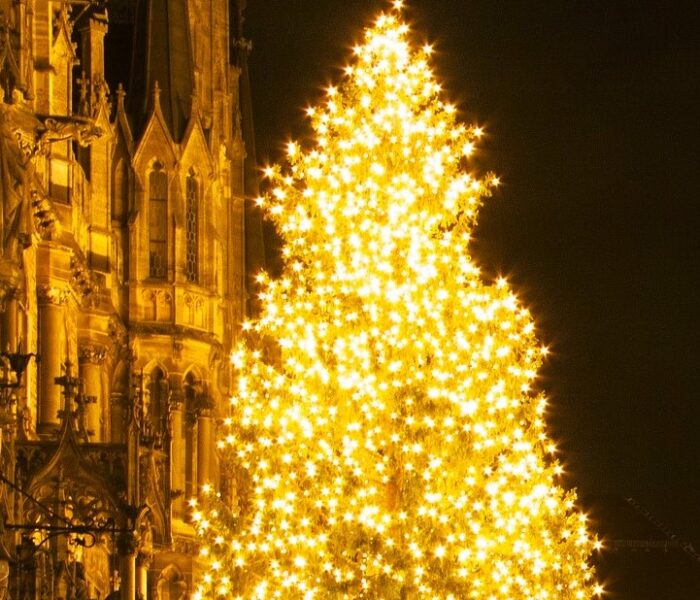 Christmas Tree Munich Germany