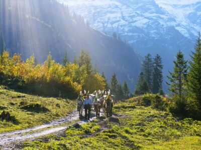 Swiss farming