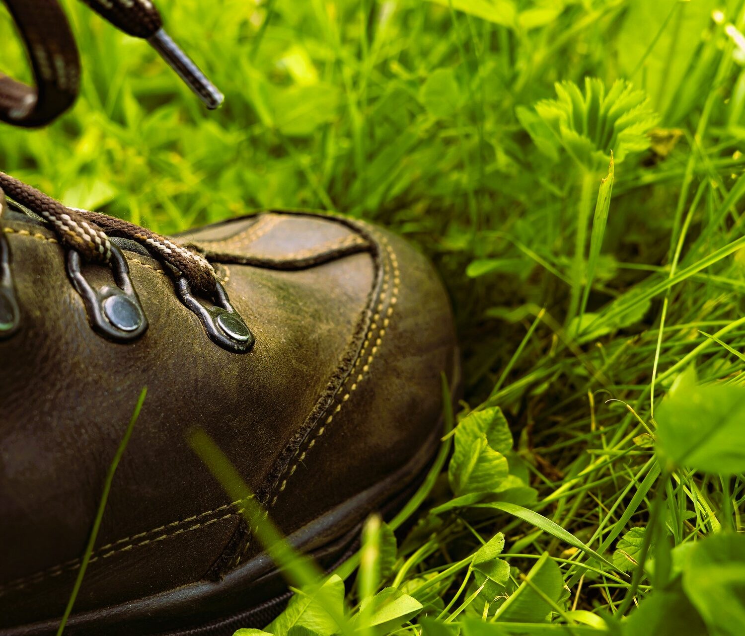 Hiking Shoe