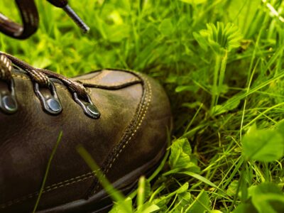 Hiking Shoe