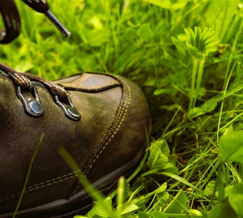 Hiking Shoe