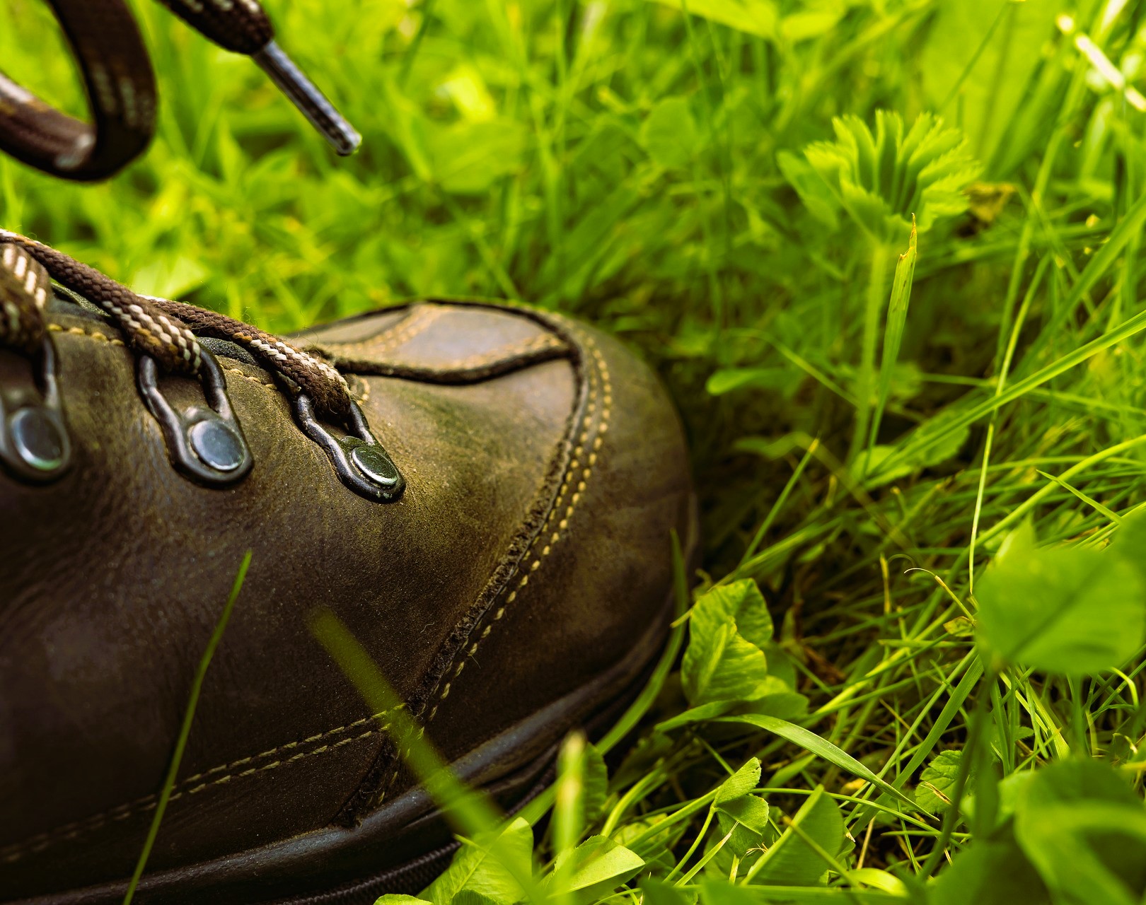 Hiking Shoe