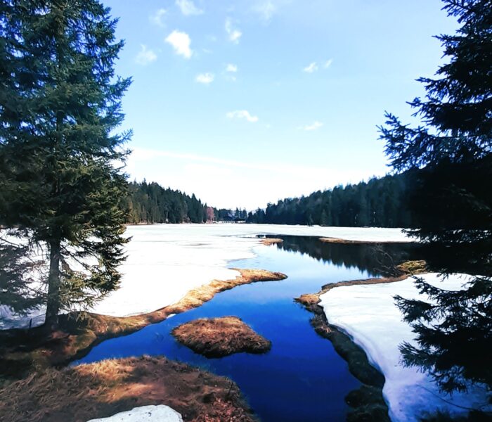 Germany Bavarian Forest