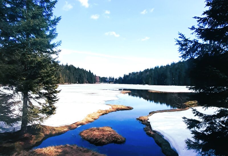 Germany Bavarian Forest