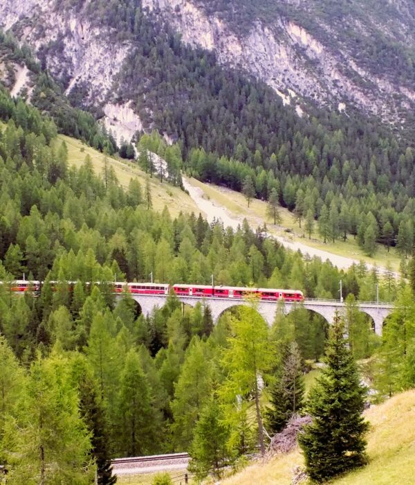 Switzerland Bernina