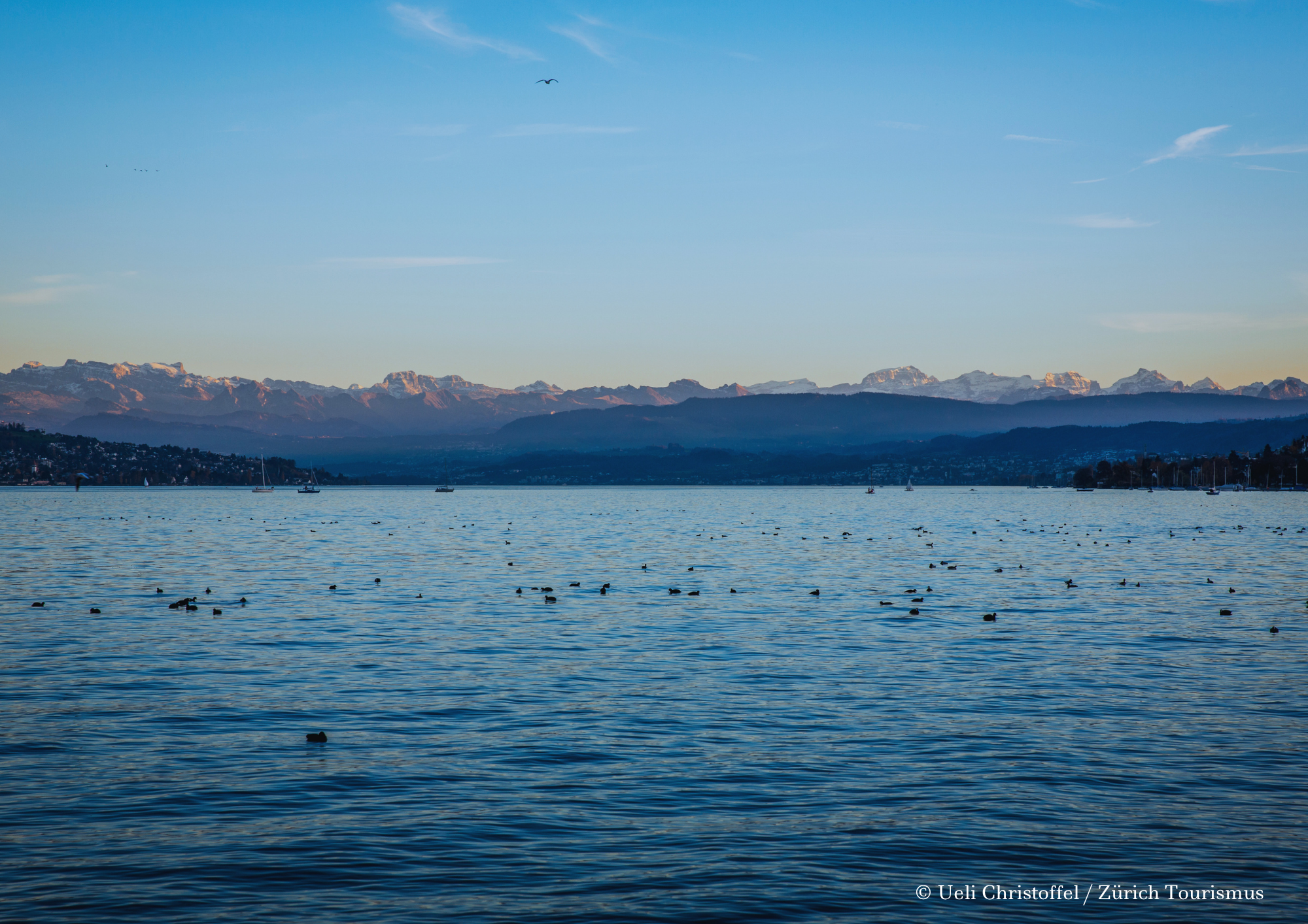 Switzerland Zurich Lake Alps