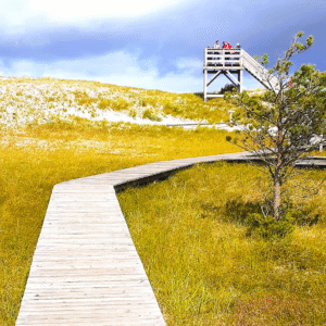 Germany Hohe Duene trail