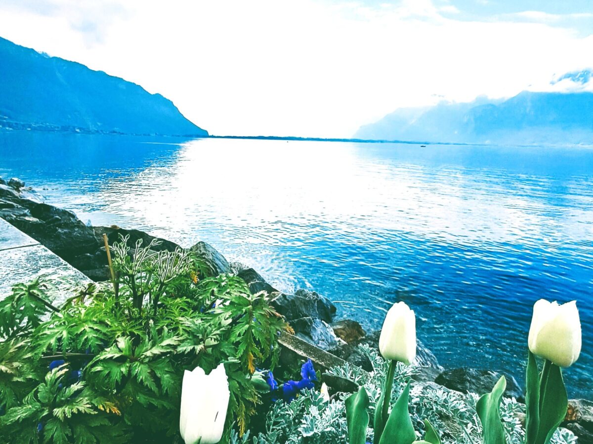 Lake genava switzerland