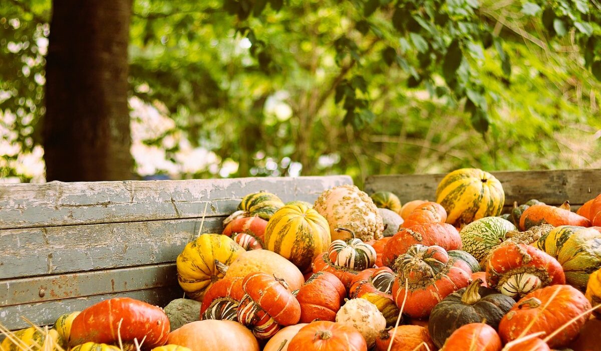 Pumkins