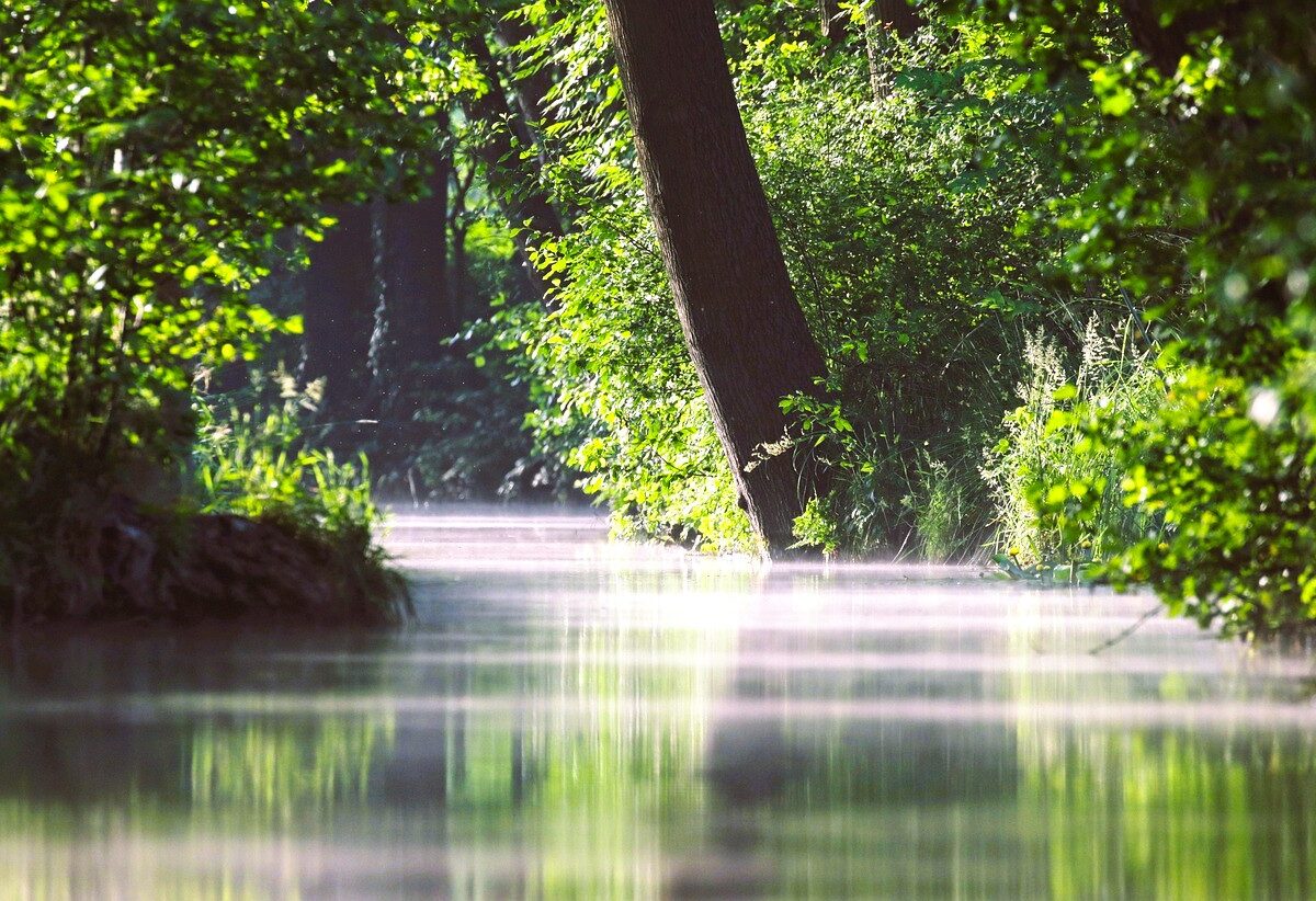 Germany Spreewald