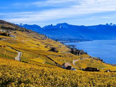 Switzerland vineyard lake geneva