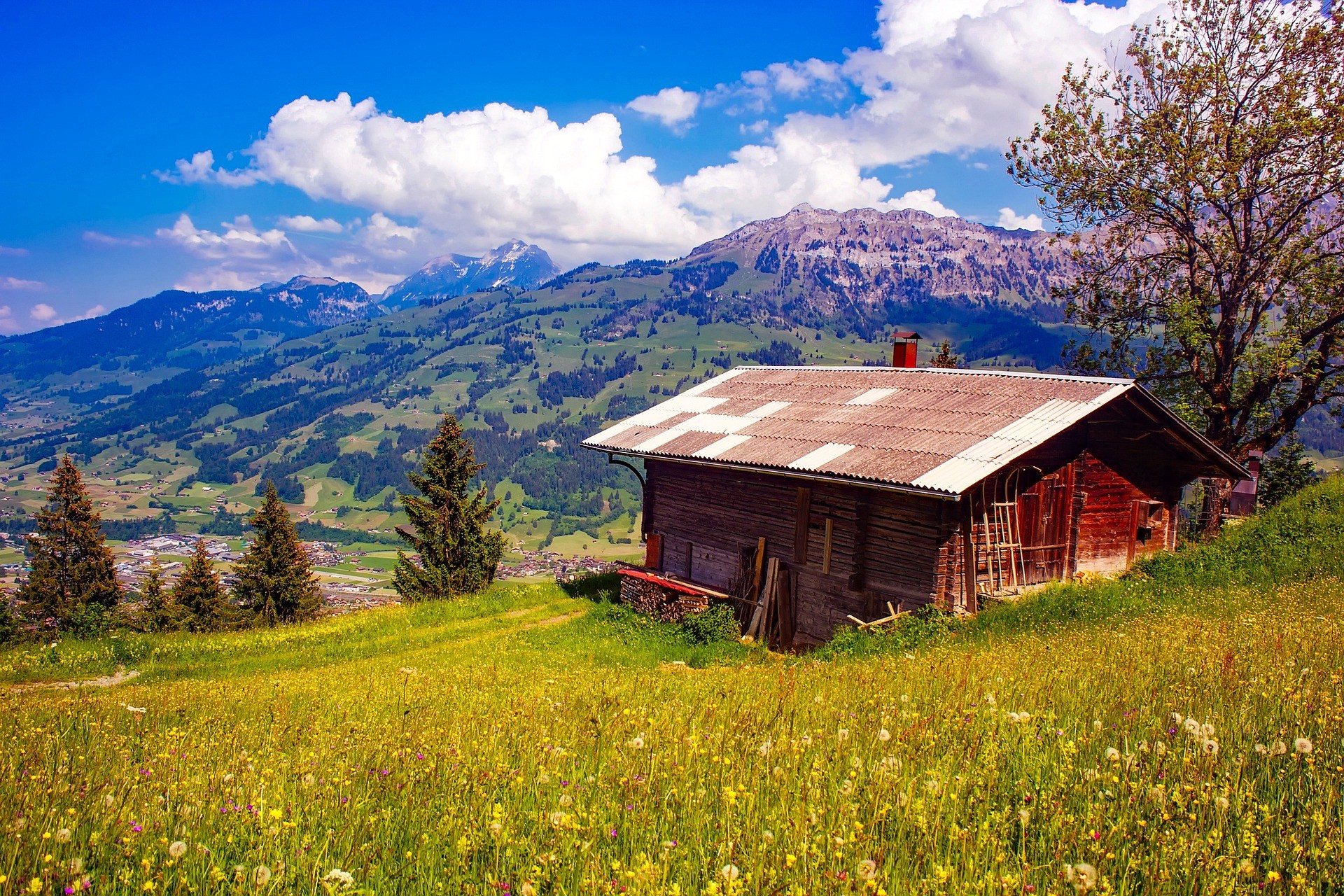 Swiss Rural Farm Holidays in Switzerland: Authentic Rural Experiences in the Swiss ...