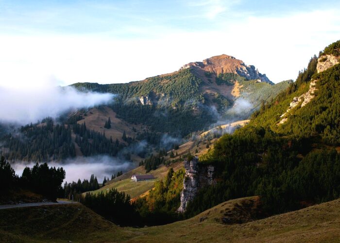 Alps Liechtenstein