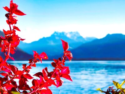 Lake Geneva Switzerland