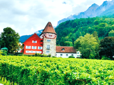Liechtenstein Vaduz Wineyard