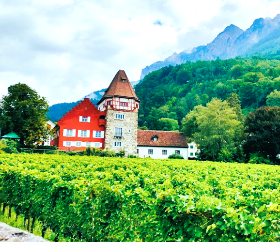 Liechtenstein Vaduz Wineyard