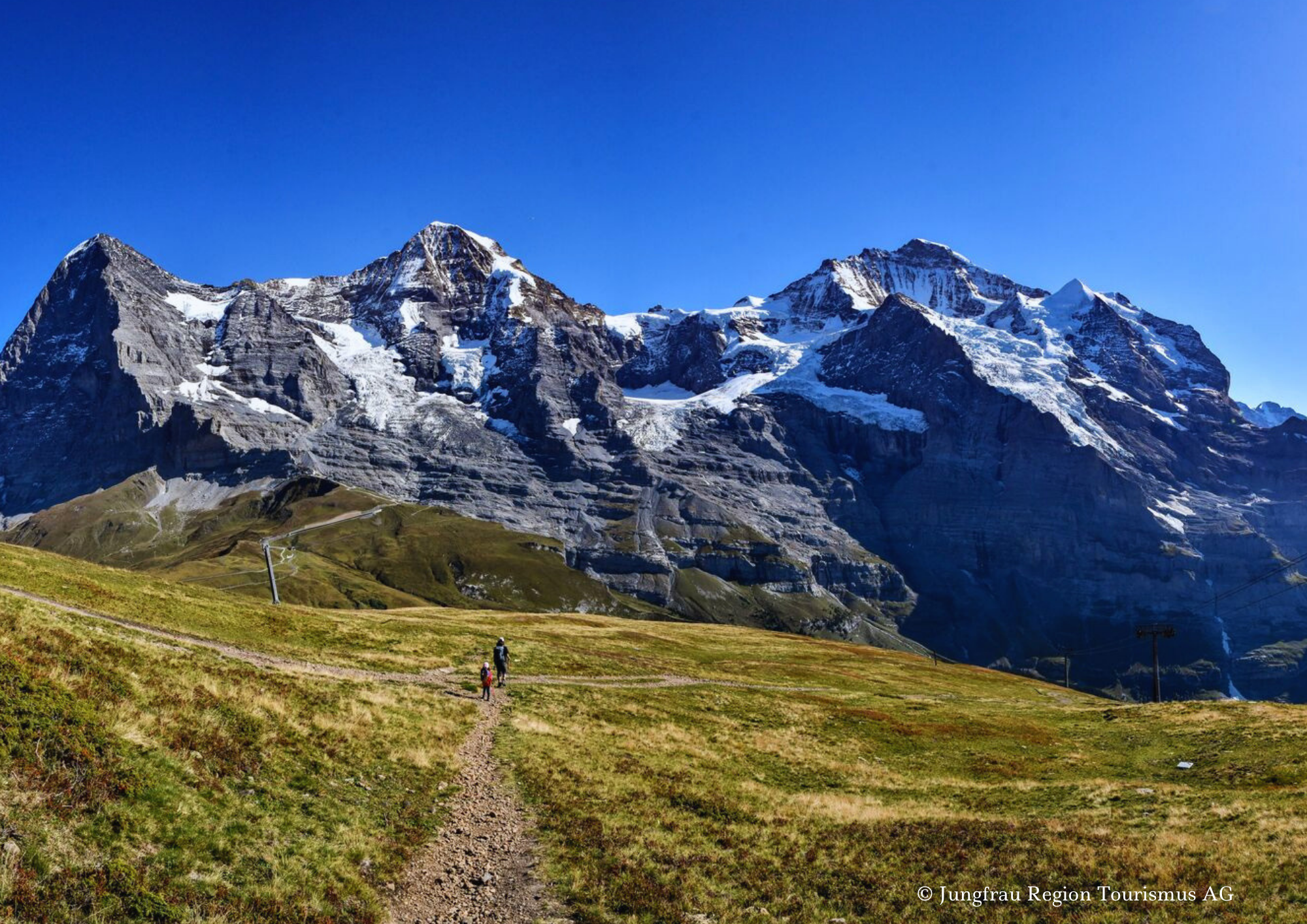 Wanderweg mit Blick auf Eiger, Mönch und Jungfrau Ein schmaler Wanderweg führt über offene Alpweiden. Im Hintergrund erheben sich Eiger, Mönch und Jungfrau mit ihren markanten Fels- und Eisflanken unter klarem Himmel.