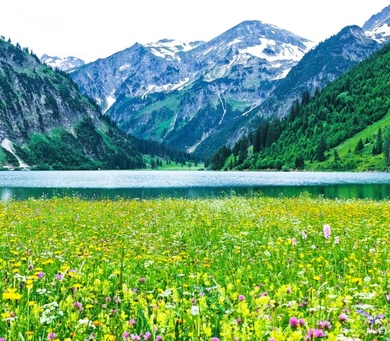 Austria Vilsalpsee