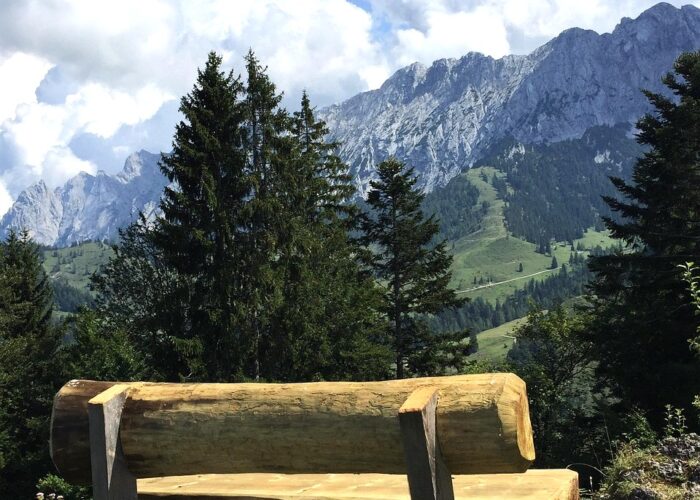 Bench Alps