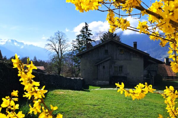 Switzerland Heidiland Spring