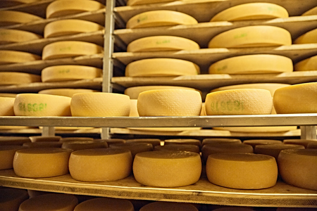 Erlebe Bayern, Cheese Allgäu Gert Krautbauer